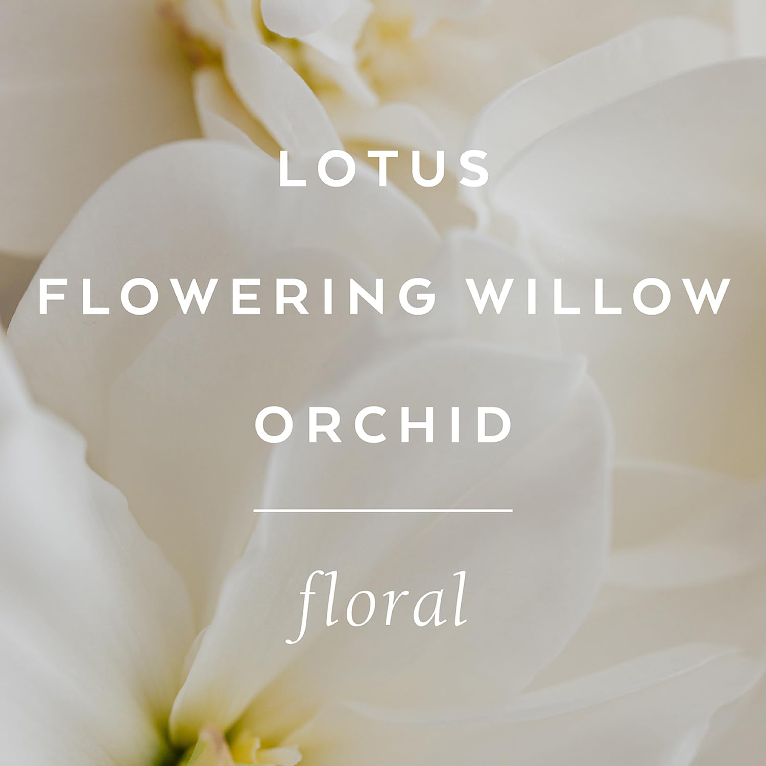 Lollia Fine Bathing Salts, 20 oz. – Bath Essential for Women, Bathtub Accessories, Relaxing Bath Salts for Women, Bath Products, Scented Luxury Bath Salts