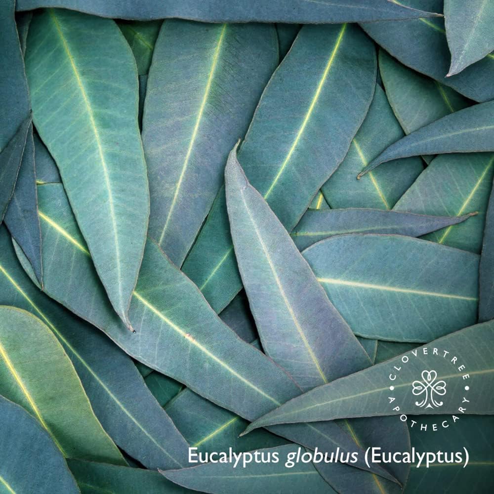 Clovertree Wild Mint Bath & Body Oil for deep Moisture