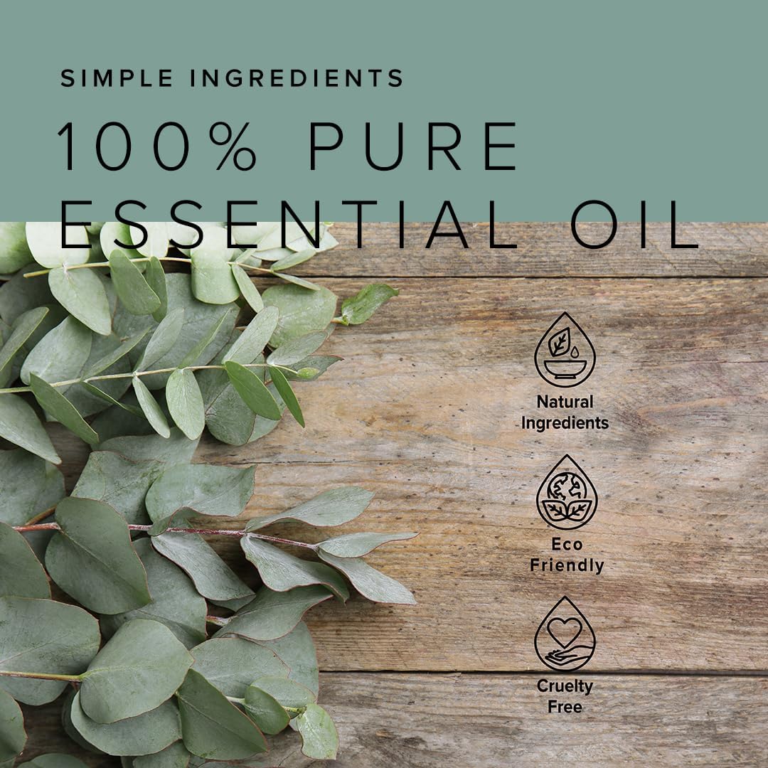 BOOTLEG BATH Shower Steamers Aromatherapy 15 Pack, 100% Pure Essential Oil, Eucalyptus, All Natural, for Men and Women, Made in USA