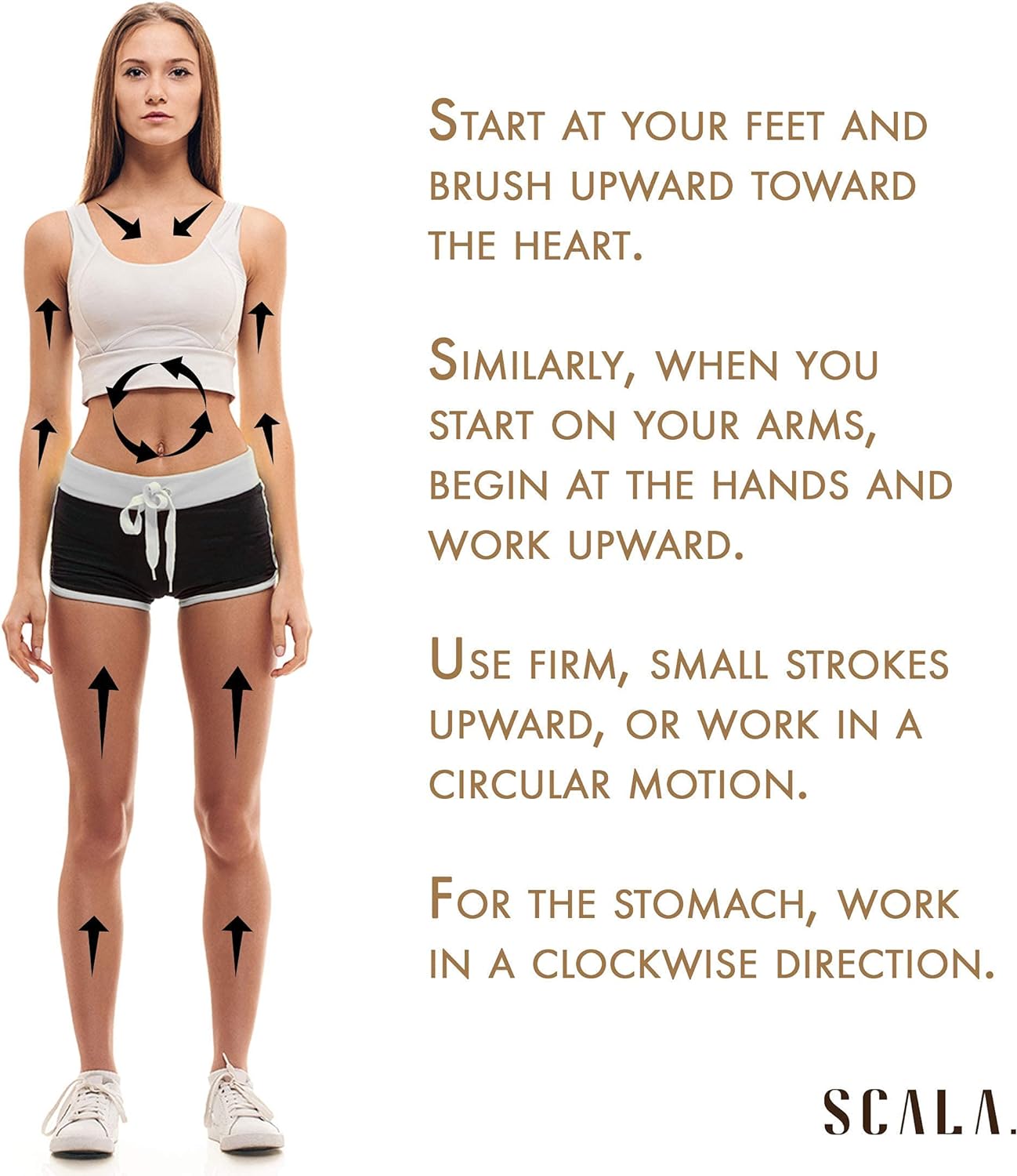 Dry Brushing Body Brush SCALA Natural Bristle Body Brush, Soft Body Exfoliating Brush Scrub for Dead Skin, Cellulite, Lymphatic Drainage, Blood Flow – Thicker & Stronger Medium Strength