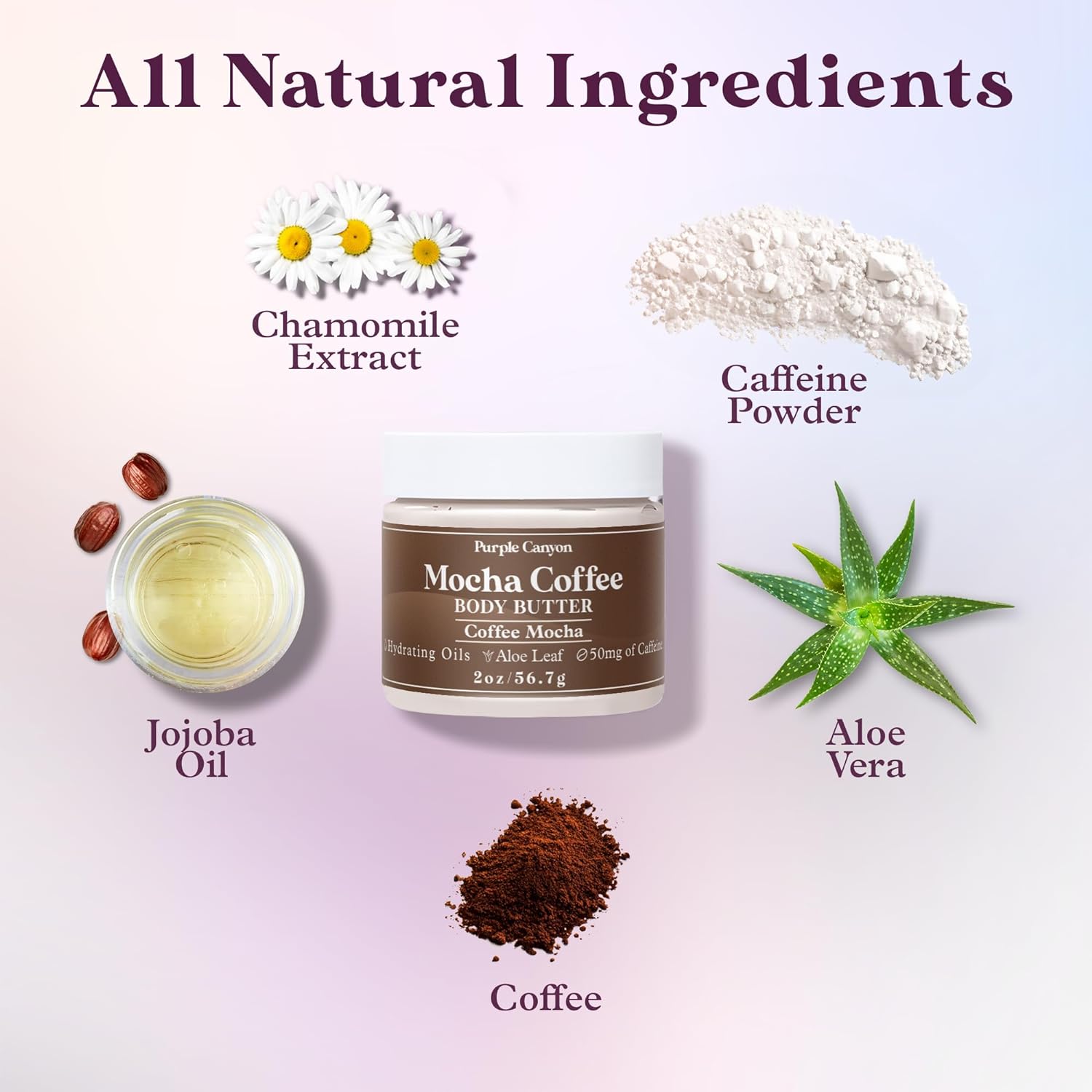 Purple Canyon Mystic Spa Box | 7 Piece Full Size Lavender Spa Kit for Self Care | Bath and Body Gifts for Women