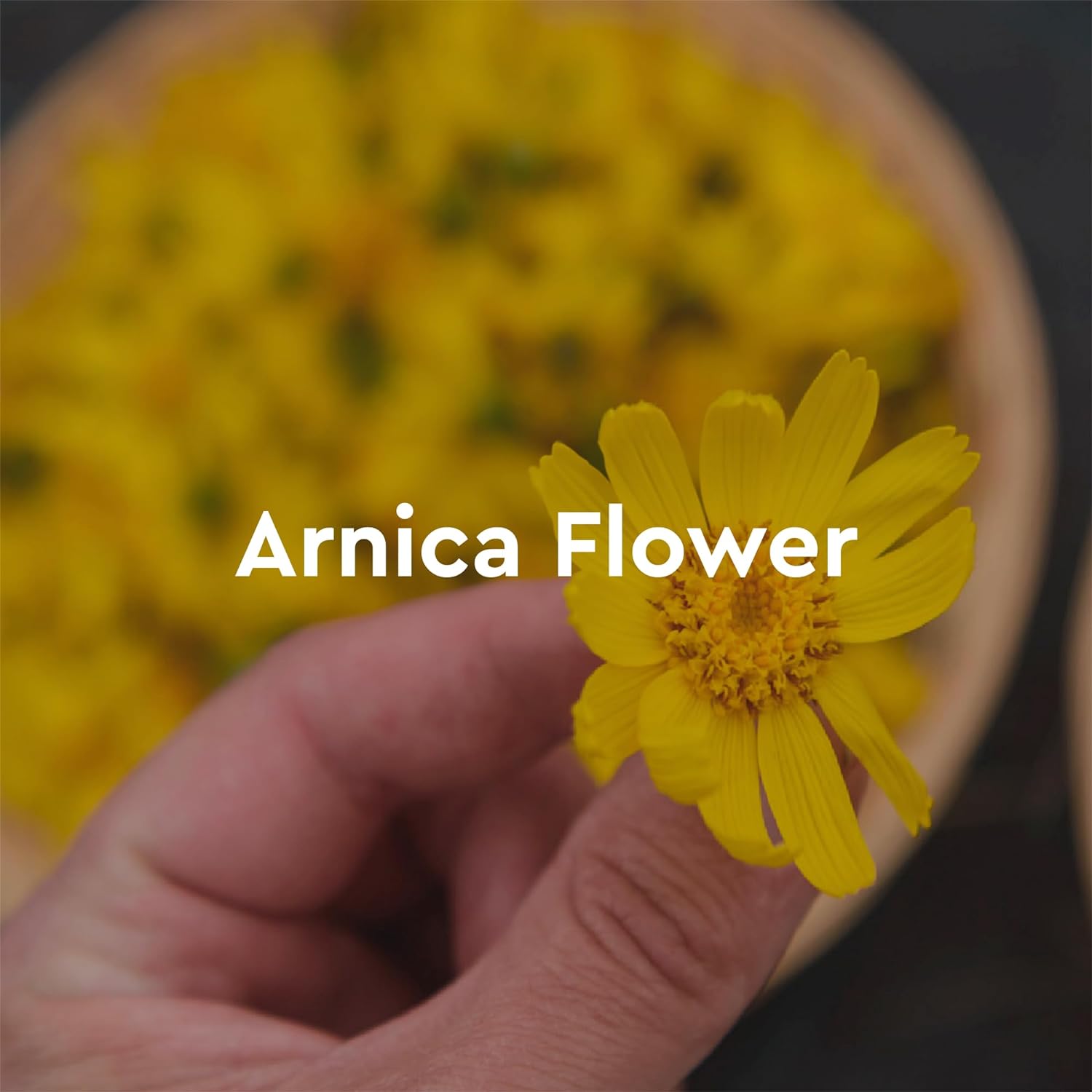 Kneipp Herbal Bath Oil Argan and Marula Beauty Secret, 3.38 Fl Oz