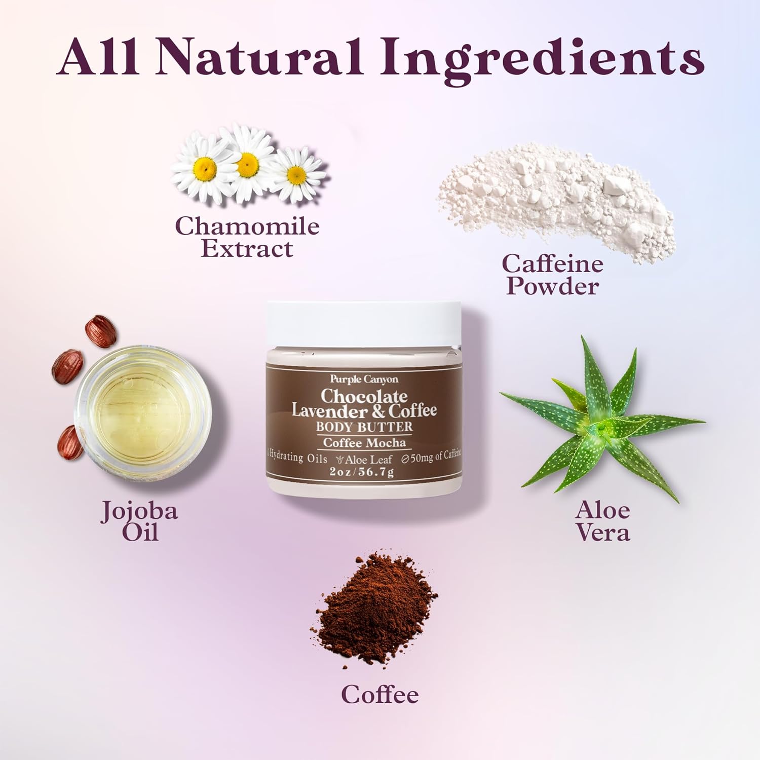 Purple Canyon Mystic Spa Box | 7 Piece Full Size Lavender Spa Kit for Self Care | Bath and Body Gifts for Women