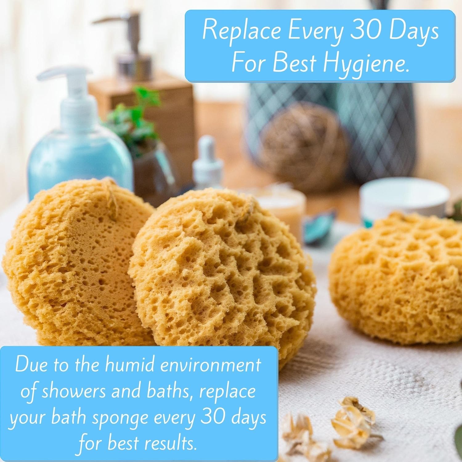 Spongentle Deep Cleansing Body Loofah Sponge, Natural Colors, for Bath and Shower, Multiple Textures for Gentle and Deep Exfoliation, Generous and Rich Lather, (Pack of 3)