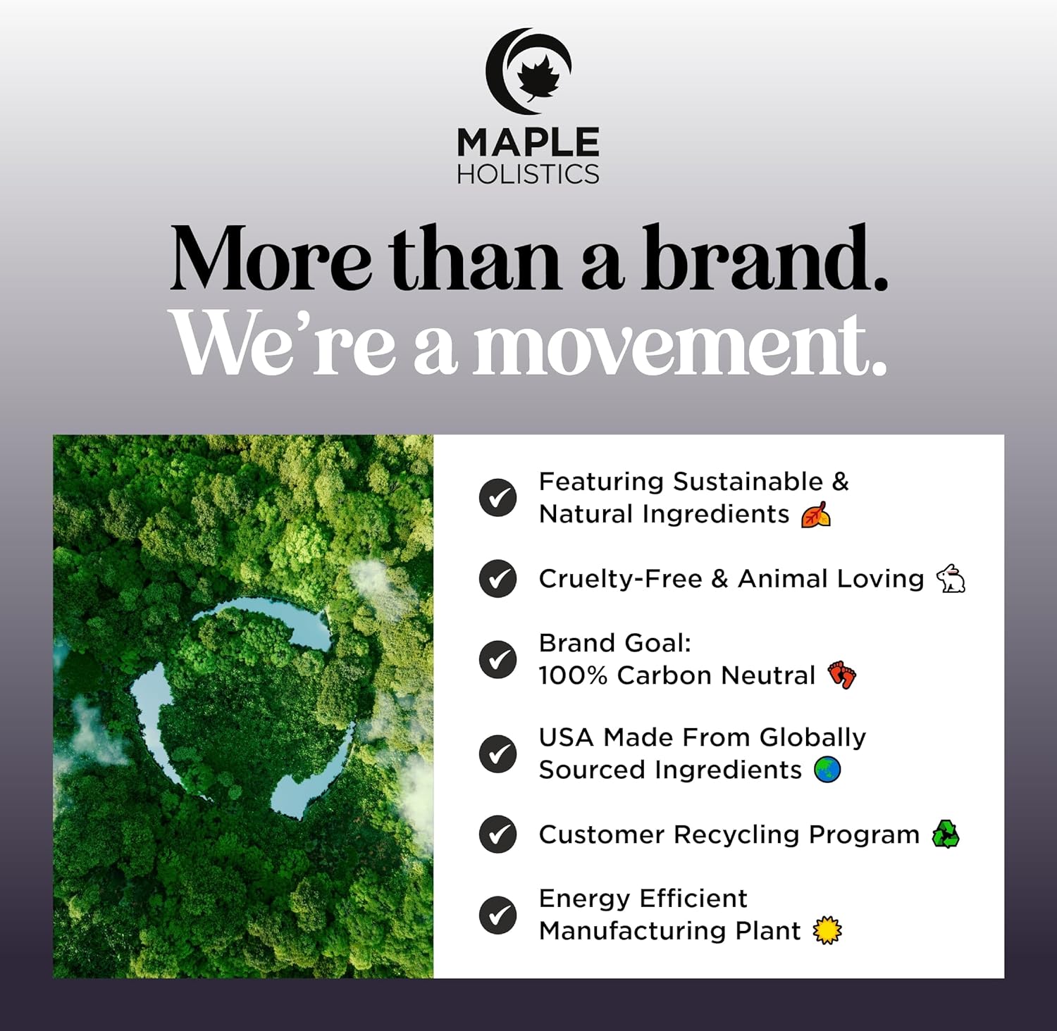 Luxury Nighttime Bubble Bath for Women - Aromatherapy Sleep Bath Soak for Women Relaxing and Nourishing Vegan Formula with Lavender Essential Oil and Shea Butter - Sulfate Paraben and Phthalate Free