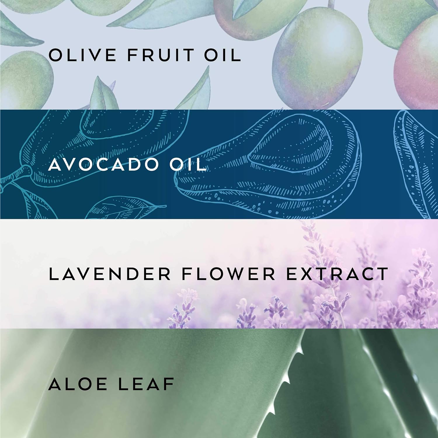 Lollia Bubble Bath, 25 fl. oz. – Soothing & Moisture-Rich Bubble Bath, Hydrating Ingredients, Enchanting Floral Bubble Bath for Women