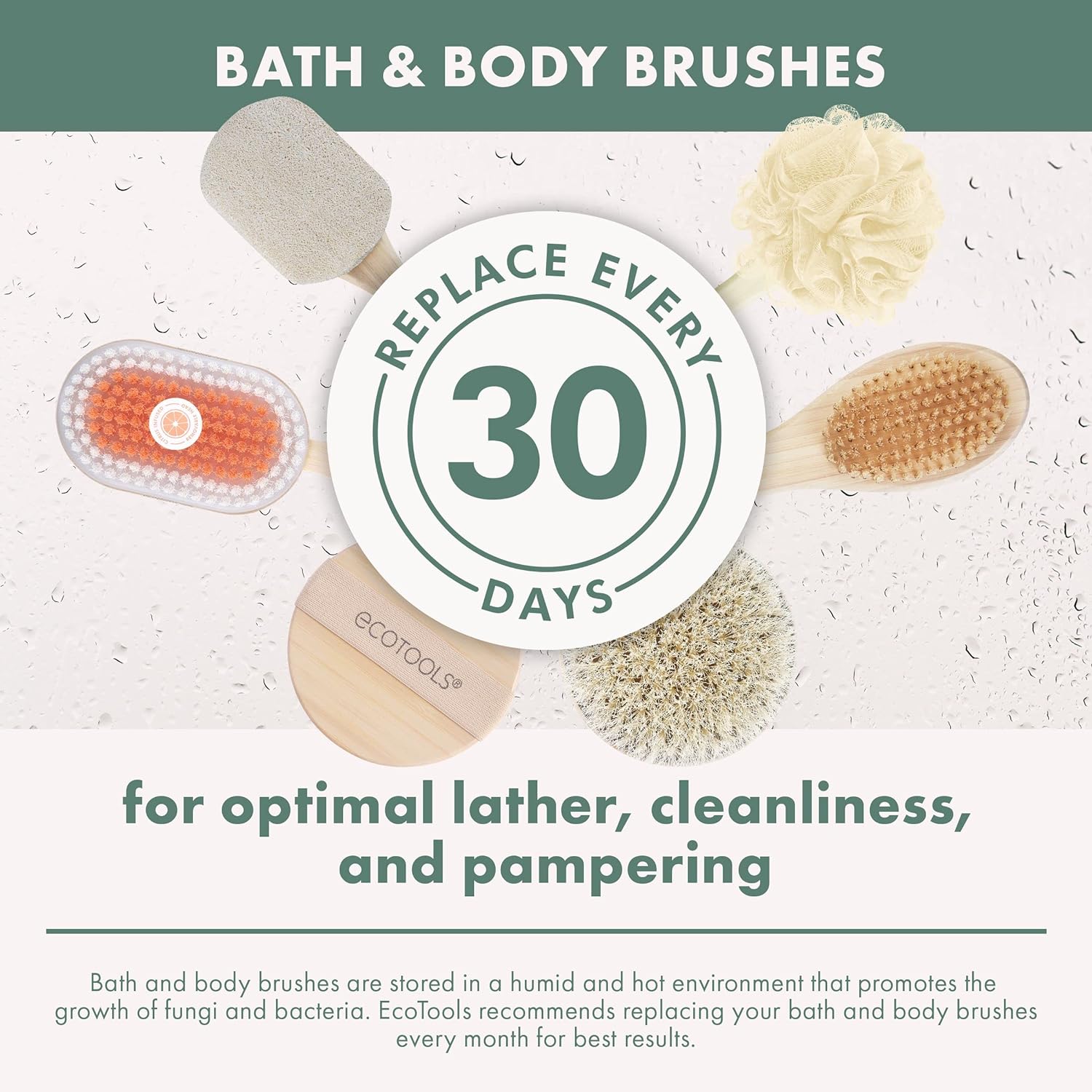 EcoTools Dry Body Brush, for Post Shower & Bath Skincare Routine, Removes Dirt & Promotes Blood Circulation, Helps Reduce Appearance of Cellulite, Eco-Friendly, Vegan & Cruelty-Free, 1 Count