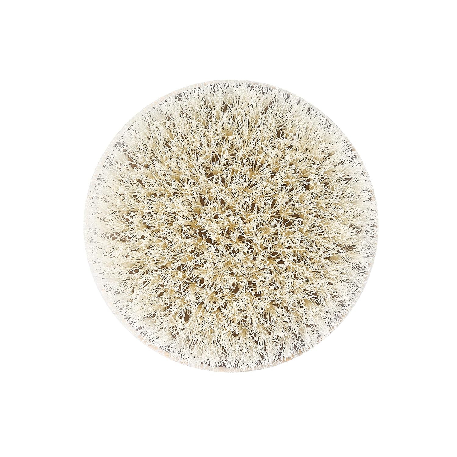 EcoTools Dry Body Brush, for Post Shower & Bath Skincare Routine, Removes Dirt & Promotes Blood Circulation, Helps Reduce Appearance of Cellulite, Eco-Friendly, Vegan & Cruelty-Free, 1 Count